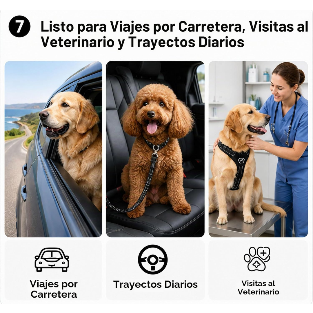 Cinturón de Seguridad para Mascotas