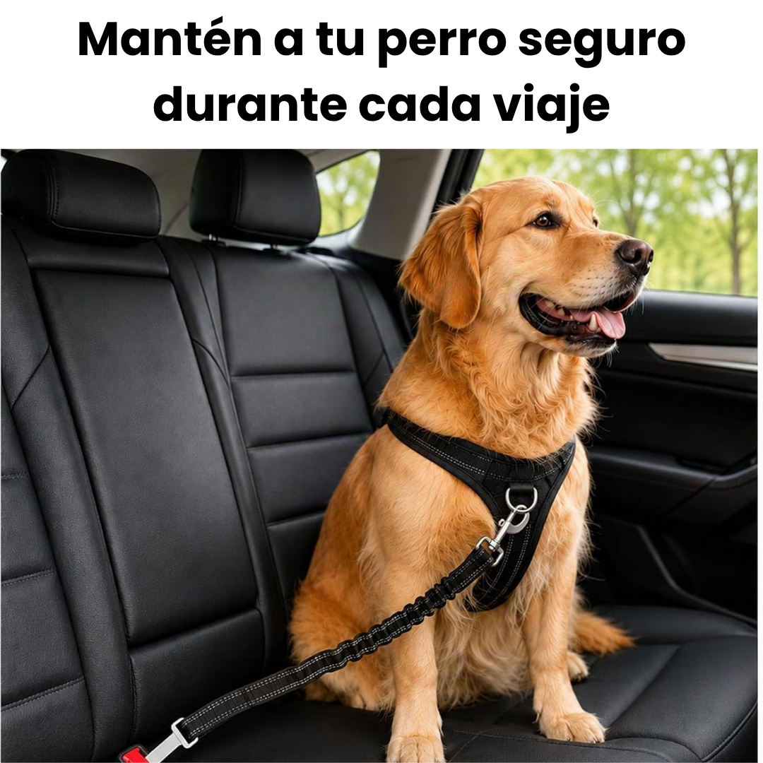 Cinturón de Seguridad para Mascotas