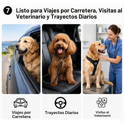 Cinturón de Seguridad para Mascotas